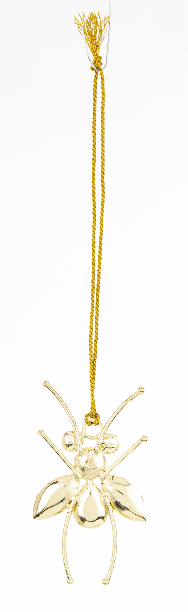 555844469c0673fe6b182f4c2a0ac5ea-big