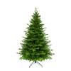 Pl Choinka Sztuczna Aspen Fir Green 210 Cm